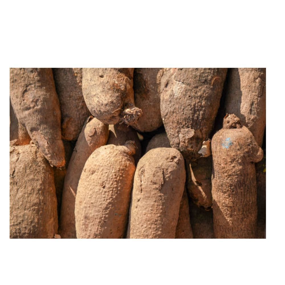 A picture of White Yam 2-Chihops global limited