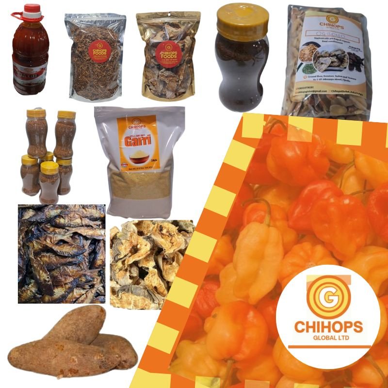 A picture of Chihops global Who we are